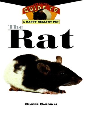 cover image of The Rat
